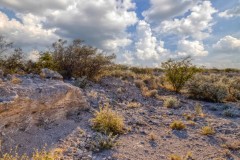 Suttle and Company Real Estate