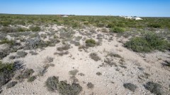 Suttle and Company Real Estate