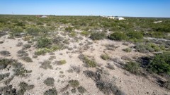 Suttle and Company Real Estate