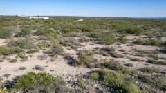 Suttle and Company Real Estate