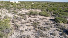 Suttle and Company Real Estate