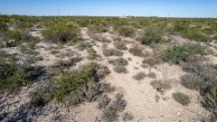 Suttle and Company Real Estate