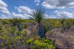 Suttle and Company Real Estate