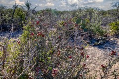 Suttle and Company Real Estate