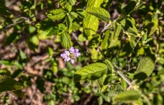 Suttle and Company Real Estate