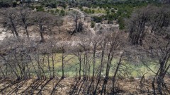 Suttle and Company Real Estate