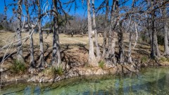 Suttle and Company Real Estate