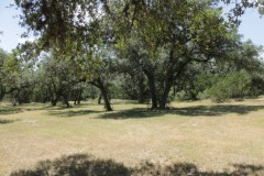 Suttle and Company Real Estate