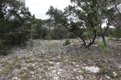 Suttle and Company Real Estate