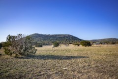 Suttle and Company Real Estate