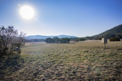 Suttle and Company Real Estate