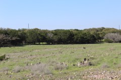 Suttle and Company Real Estate