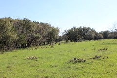 Suttle and Company Real Estate