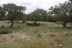 Texas Hill Country and Frio Canyon Properties