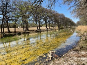 Texas Hill Country and Frio Canyon Properties