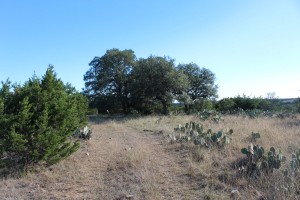 Texas Hill Country and Frio Canyon Properties
