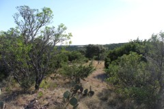 Suttle and Company Real Estate